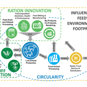 IFEEDER Newsletter: Volume 8, Issue 11