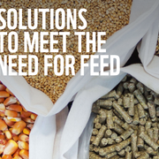 Collaboration is Key to Meeting the Need for Feed