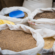 Livestock Feed is an Undervalued Opportunity for Food Companies to Achieve Sustainability Goals