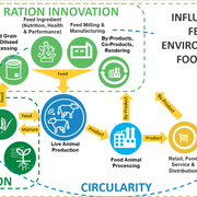 Ration Innovation: A Path to Reducing the Environmental Footprint of Animal Production and Pets